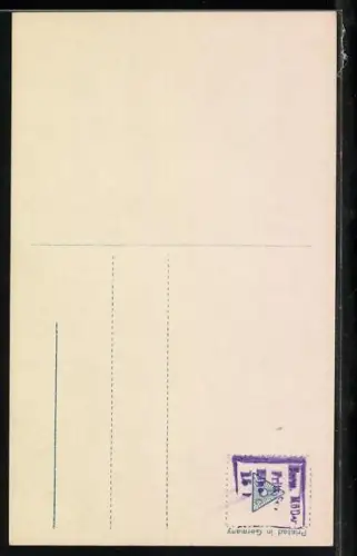 AK Prinzessin August Wilhelm von Preussen mit schönem Hut