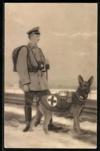 AK Sanitätshund Troll in feldmarschmässiger Ausrüstung mit deinem Führer