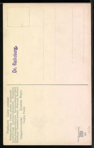 AK Zweig mit Zitronen