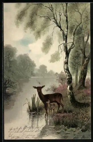 Künstler-AK Meissner & Buch (M&B) Nr.1229: Wald-Idyll mit Rehkitz