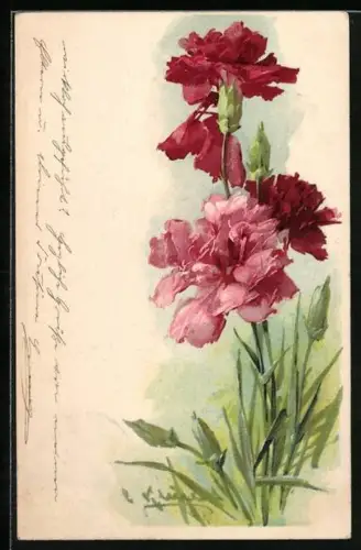 Künstler-AK Catharina Klein: rote Blüten