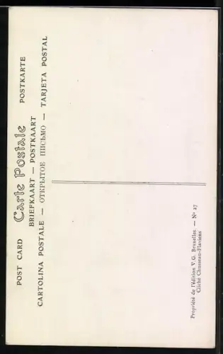 AK Albert, König der Belgier, nebst seinen Söhnen