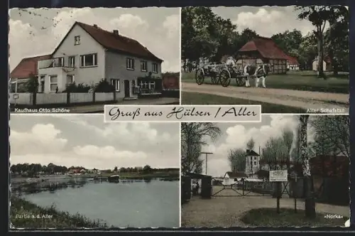 AK Hülsen /Aller, Kaufhaus Otto Schöne, Alter Schafstall, Partie an der Aller, Norka