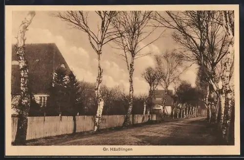 AK Gr. Häuslingen, Strassenpartie mit Birken