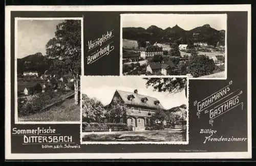 AK Dittersbach /Böhm. säch. Schweiz, Grohmanns Gasthaus, Ortsansicht aus der Vogelschau
