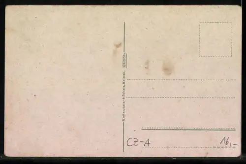 AK Bodenbach a. d. Elbe, Teplitzerstrasse mit Hotel Wettiner Hof