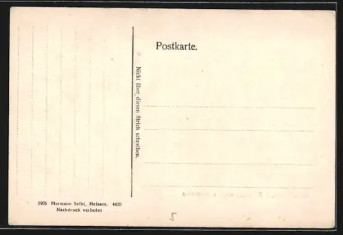 AK Friedland i. Böhmen, Ortsansicht mit umliegenden Feldern