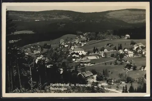 AK Harrachsdorf im Riesengeb., Ortsansicht vom Berghang aus