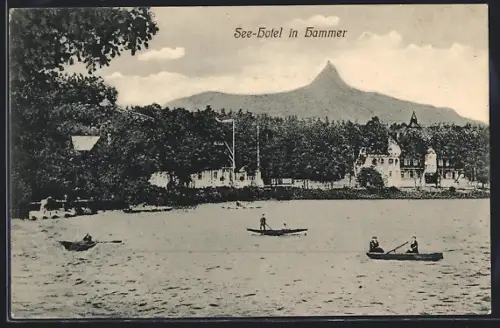 AK Hammer, See-Hotel am Ufer des Hammersees, Ruderboote auf dem See