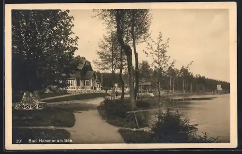 AK Bad Hammer am See, Partie am Seeufer mit Anlagen