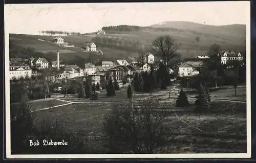 Foto-AK Bad Liebwerda, Ortsansicht gegen die Anhöhen