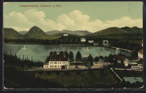 AK Hammer a. See, Teilansicht mit Anlagen am Hammersee