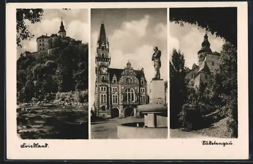 AK Friedland /Sudetengau, Schloss, Rathaus mit Brunnen, Uferpartie