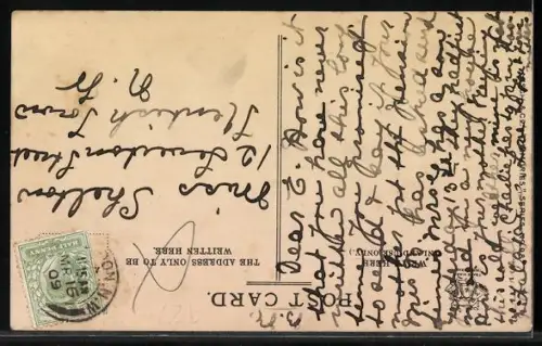 AK Blumenbild eines Passagierdampfers aus Vergissmeinnicht