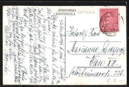 AK Novi Sad, Most i tvrdjava