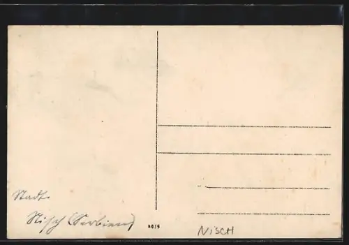 AK Nisch, Totalansicht mit Friedhof und Turmgebäude aus der Vogelschau