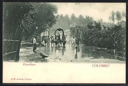 AK Colombo, Floodtime