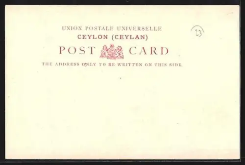 AK Colombo, Floodtime