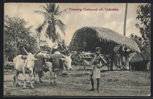 AK Colombo, Pressing Coconut oil