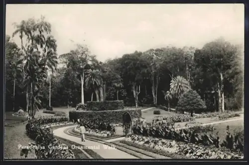 AK Kandy, Peradeniya Gardens, prächtige Gartenanlage