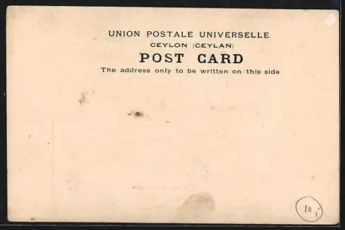 AK Colombo, Singhalese Stores