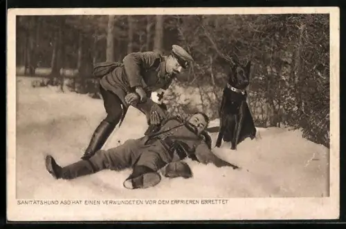 AK Sanitätshund Ago hat einen Verwundeten vor dem Erfrieren errettet