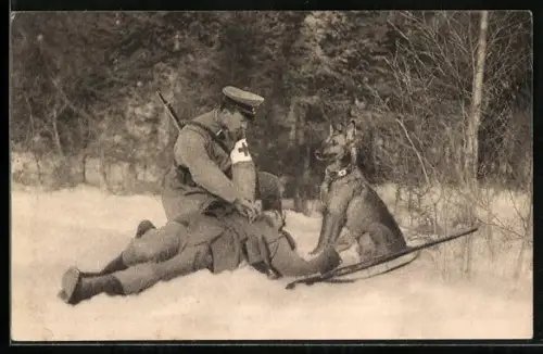 AK Sanitätshund Troll hat einen Verwundeten aufgespürt, Sanitäter leistet Erst-Hilfe