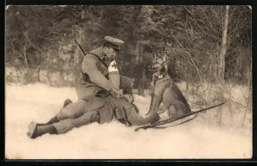 AK Sanitätshund Troll hat einen Verwundeten aufgespürt, Sanitäter leistet Erst-Hilfe