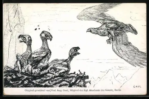 Künstler-AK Verein für Kindervolksküchen: Adler am Nest mit Jungtieren