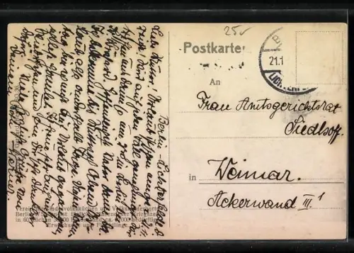 Künstler-AK Verein für Kindervolksküchen: Adler am Nest mit Jungtieren