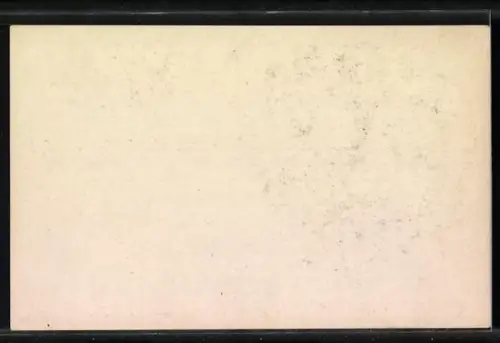 AK Königspaar von Savoien