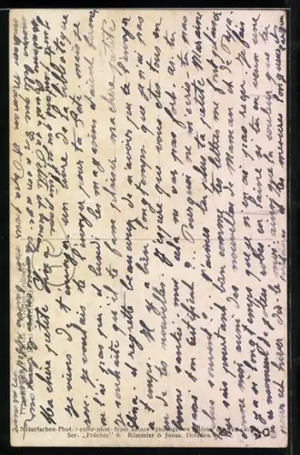 AK Garten-Erdbeere mit Früchten