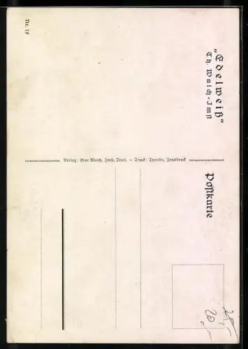 Künstler-AK Thomas Walch: Frau im Kleid geniesst die Aussicht in den Bergen