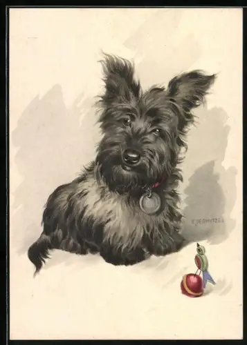 Künstler-AK Schwarzer Schottischer Terrier mit Spielzeug