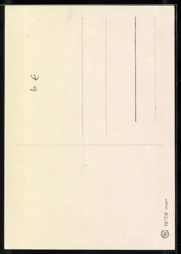 AK Dackelwelpe blickt zu Boden