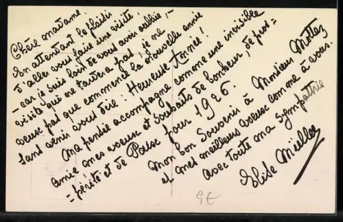 AK Portrait einer weissgrauen Katze