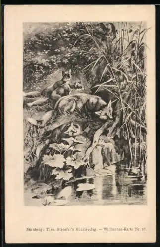 AK Fuchs beobachtet am Wasser eine Ente