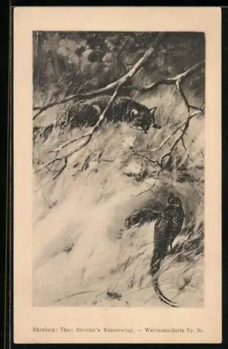 AK Fuchs beobachtet einen Fasan