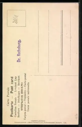 AK Drei Mandarinen an einem Zweig