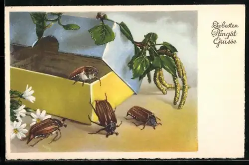 AK Maikäfer öffnen eine Box mit einem kleinen Ast, Pfingstgrüsse