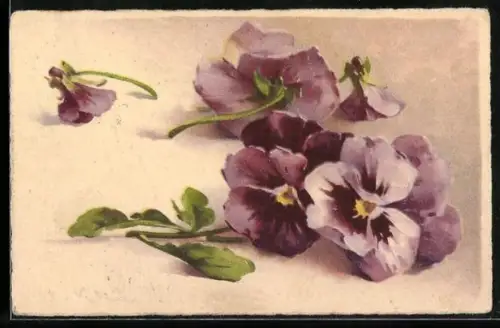 Künstler-AK Catharina Klein: Stiefmütterchen, Stillleben mit Blumenblüten
