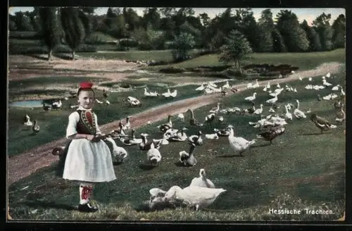 AK Gänse hütendes Mädchen in hessischer Tracht