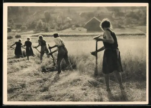 AK Bauern bei der Heuernte