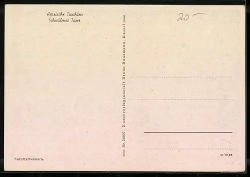 AK junge Paare in hessischen Trachten beim Schwälmer Tanz