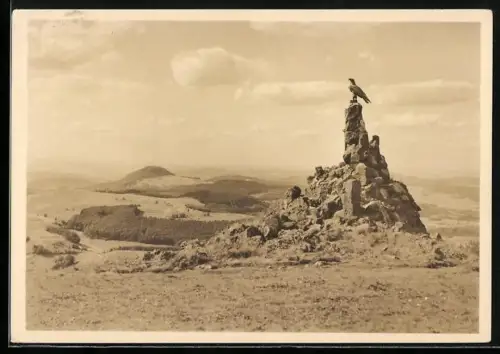 Foto-AK Fliegerdenkmal auf der Wasserkuppe