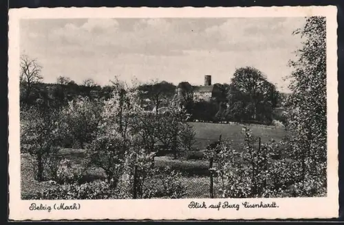 AK Belzig /Mark, Blick auf Burg Eisenhardt