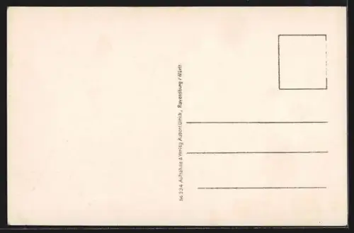 AK Friedrichshafen am Bodensee, Luftaufnahme, Stadtansicht, Ufer, Hafen