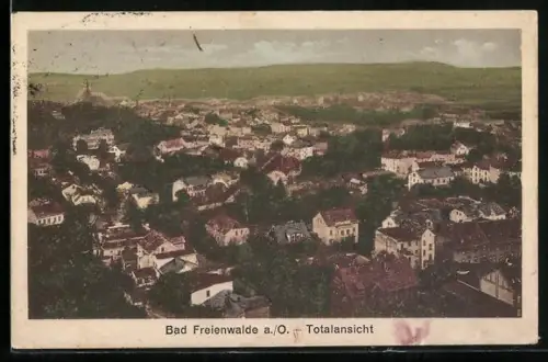 AK Bad Freienwalde a. O., Blick auf den Ort