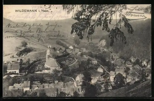 AK Wildemann i. Harz., Ortsansicht aus der Vogelschau