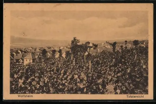 AK Wolfsheim, Ortspanorama